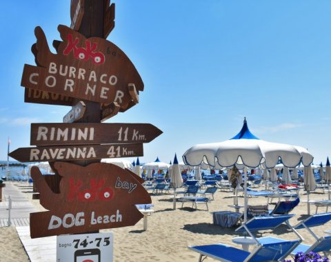 Kokobay igea marina
