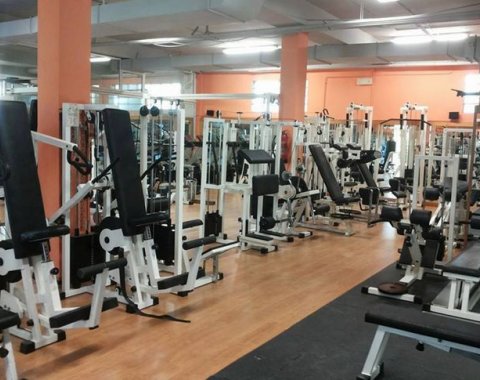 Fitness Fitness