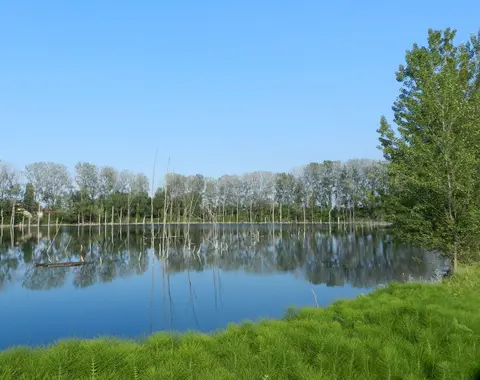 Gelso lake Gelso lake