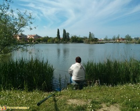 Gelso See Gelso See